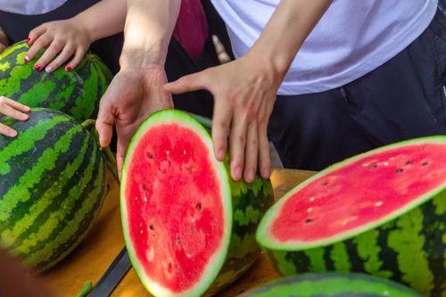 长清大学吃瓜免费播放,吃瓜免费，校园生活新潮流  第2张