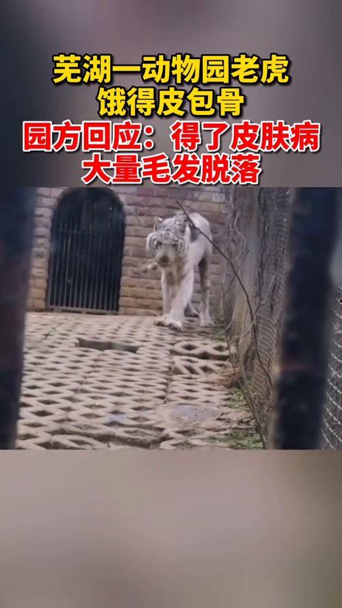 今日动物爆料最新消息新闻,最新奇特的动物新闻盘点  第1张